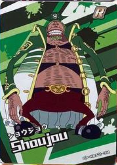 One Piece 1Y ENG R