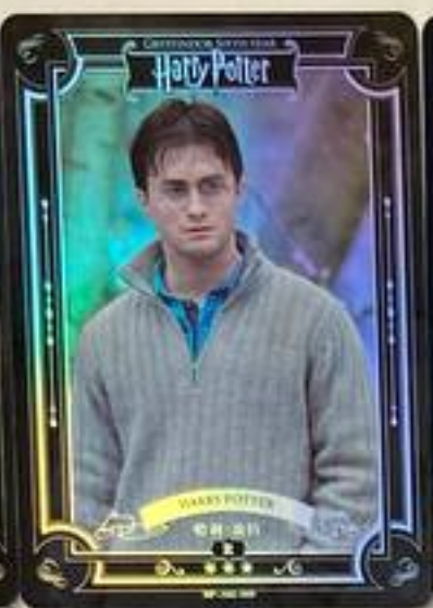 Harry Potter Wave 2 R