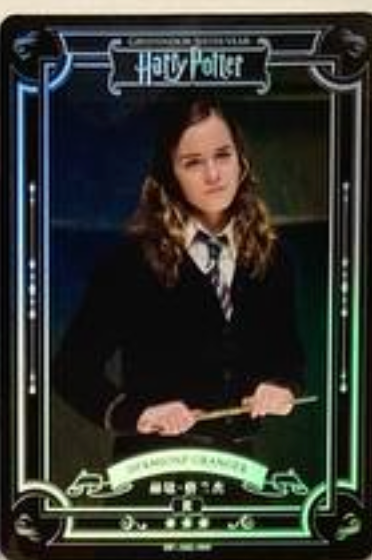 Harry Potter Wave 2 R