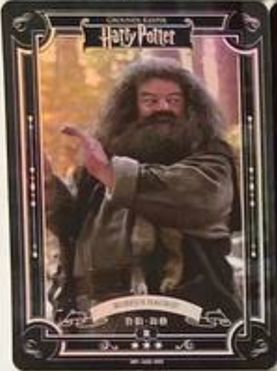 Harry Potter Wave 2 R