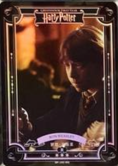 Harry Potter Wave 2 R