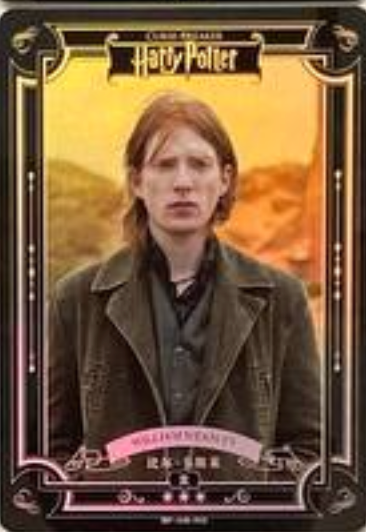 Harry Potter Wave 2 R