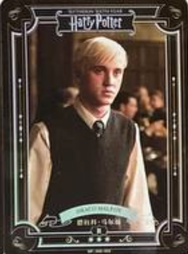 Harry Potter Wave 2 R