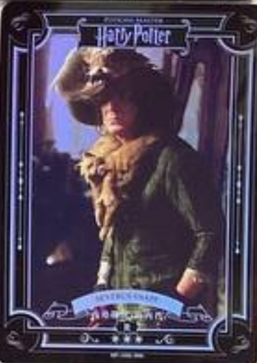 Harry Potter Wave 2 R