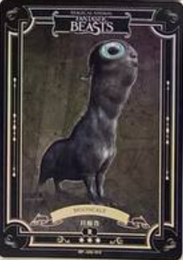 Harry Potter Wave 2 R