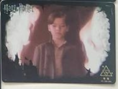 Harry Potter Wave 2 N