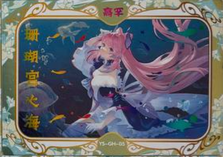 Genshin Impact Limited Edition GH
