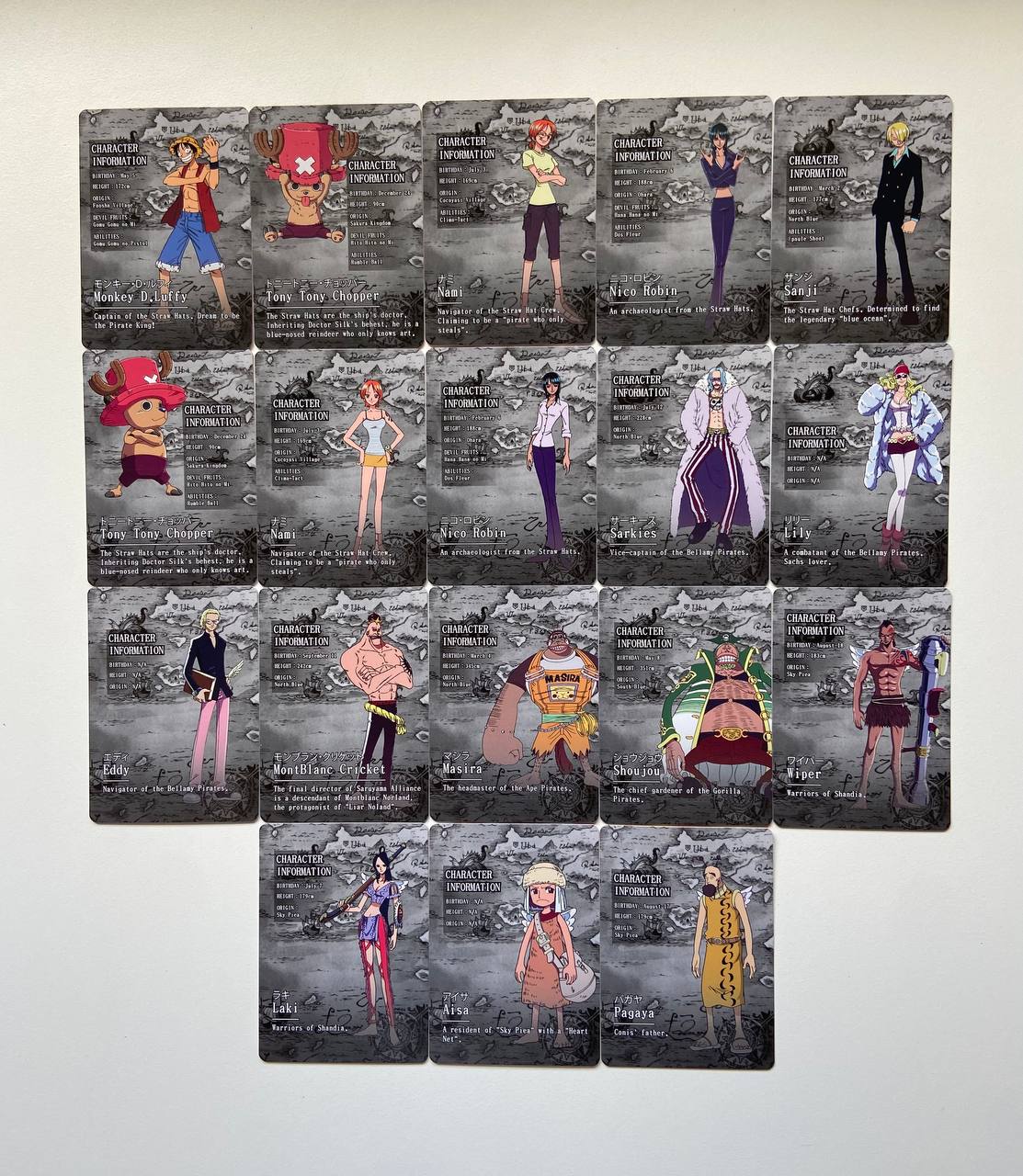 One Piece 1Y ENG R