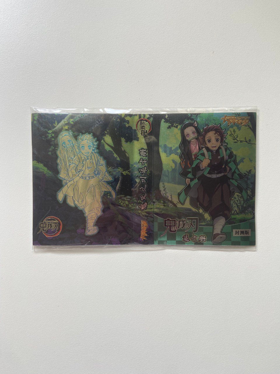 Mini Album Porta Carte Demon Slayer