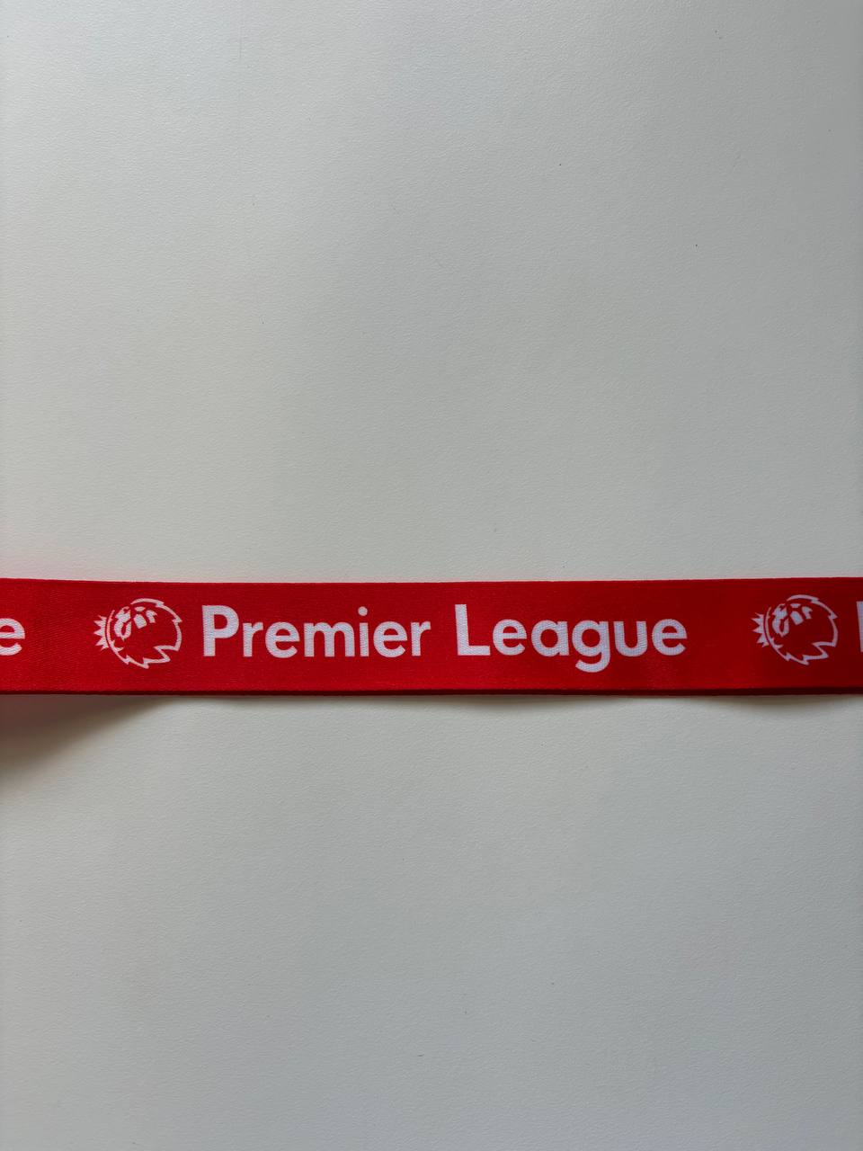 Medaglia Premier League 19/20