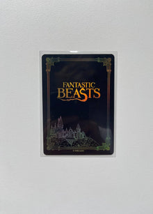 Harry Potter Wave 2 Goldstein SSR