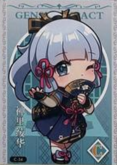 Genshin Impact Limited Edition C