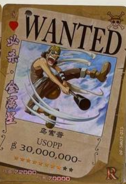One Piece Wanted 5Y R