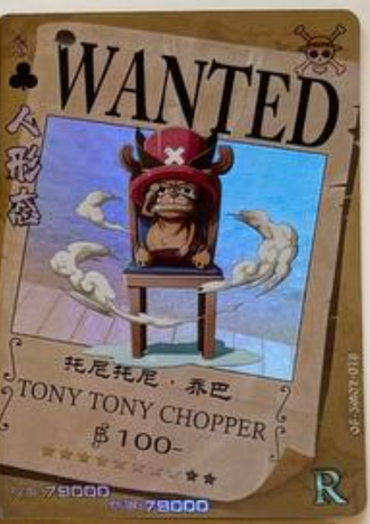 One Piece Wanted 5Y R