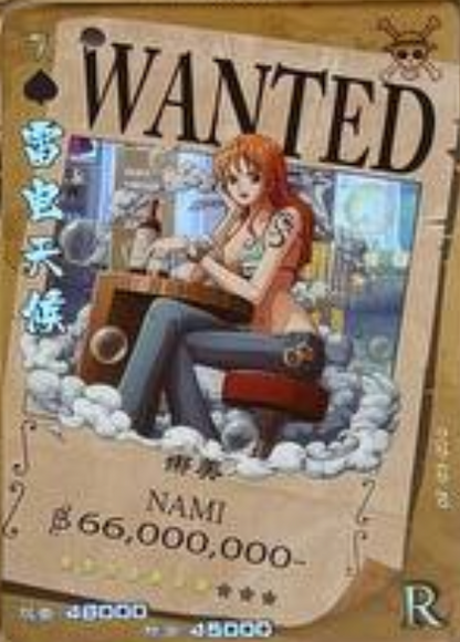 One Piece Wanted 5Y R
