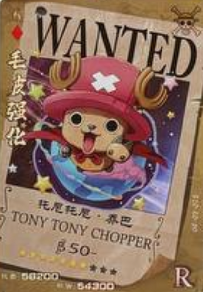 One Piece Wanted 5Y R