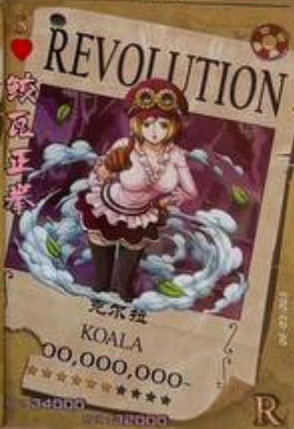 One Piece Wanted 5Y R
