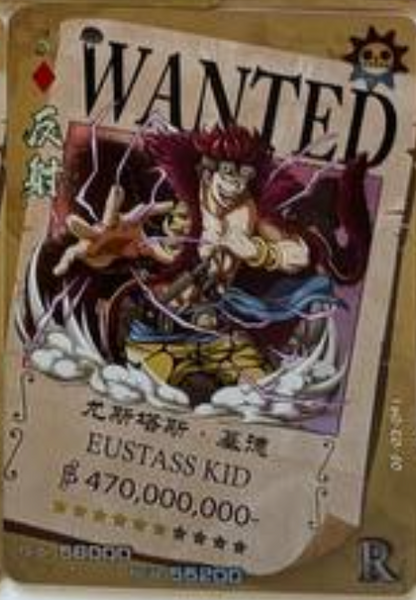 One Piece Wanted 5Y R