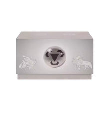 Pokemon Metal Radiant Gift Box Simplified Chinese Display Card Box Sealed